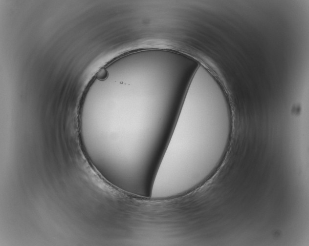X0000115541192200911061143