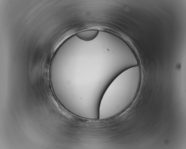 X0000115541194200911061143