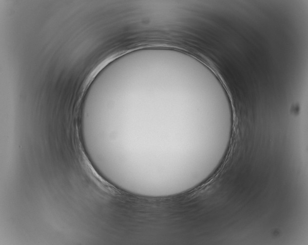X0000115541195200911061143