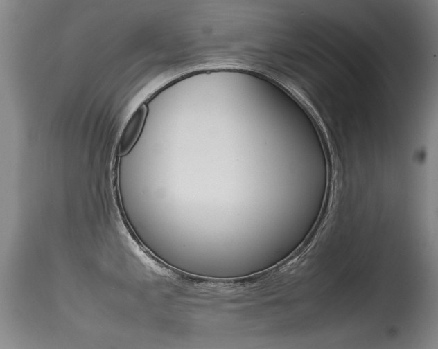 X0000115541197200911061143