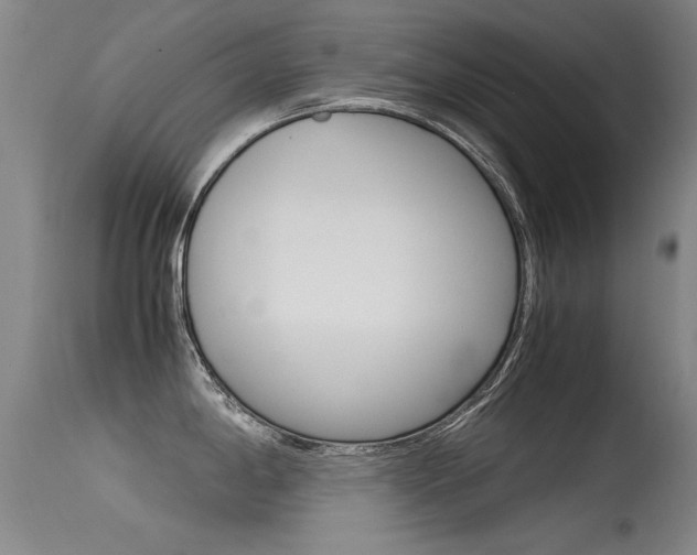 X0000115541198200911061143