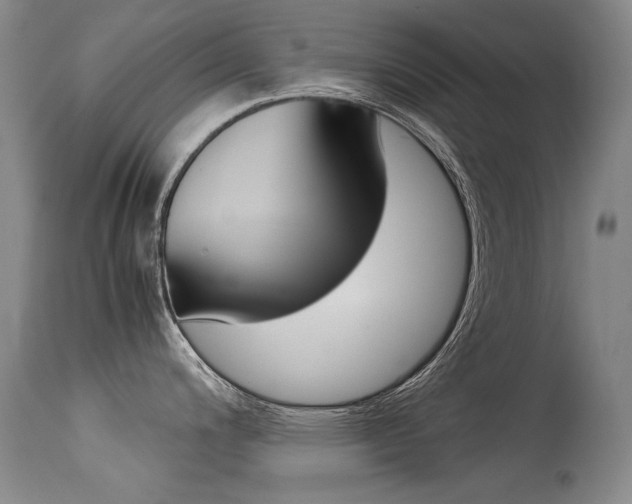 X0000115541200200911061143