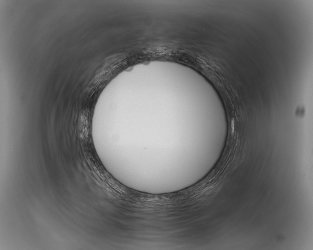 X0000115541203200911061142
