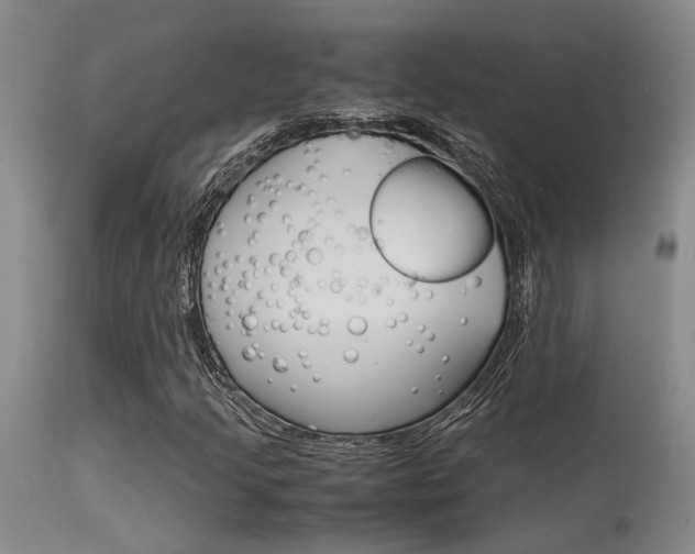 X0000115541205200911061142