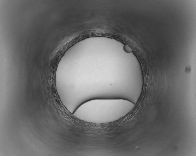 X0000115541207200911061142