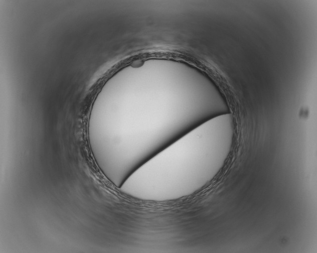X0000115541208200911061142