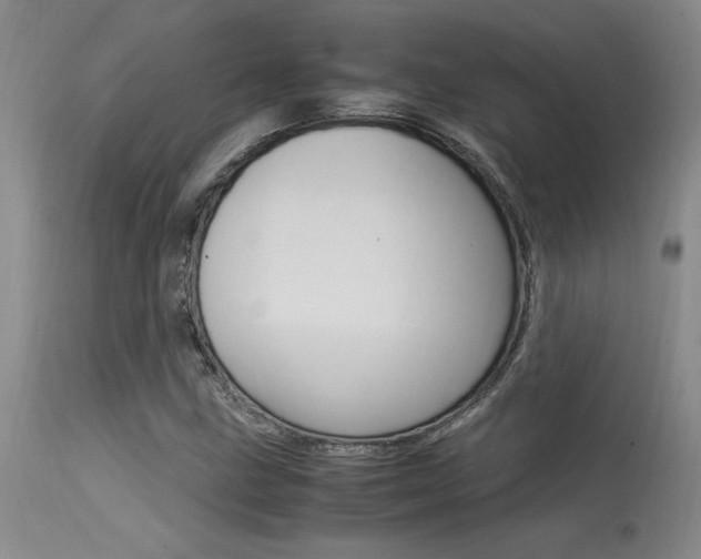 X0000115541211200911061142