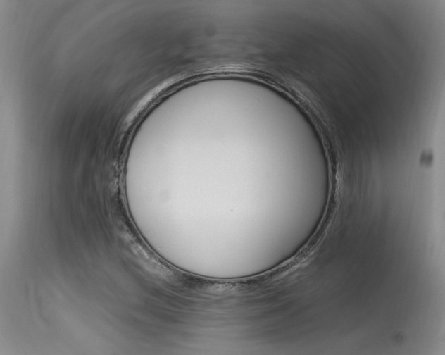 X0000115541212200911061142