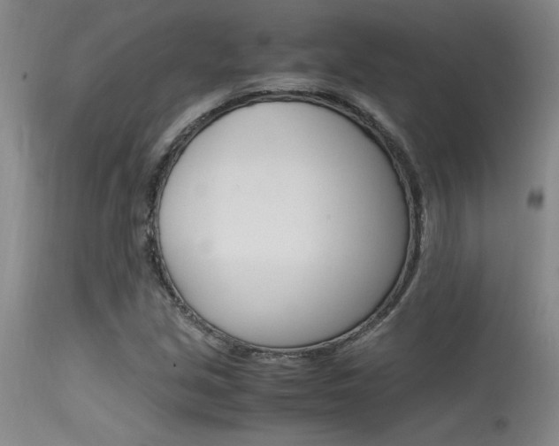 X0000115541213200911061142