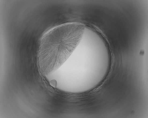 X0000115541215200911061142