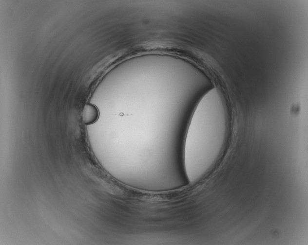X0000115541217200911061142
