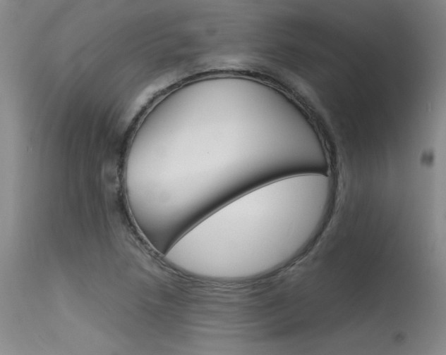 X0000115541218200911061142