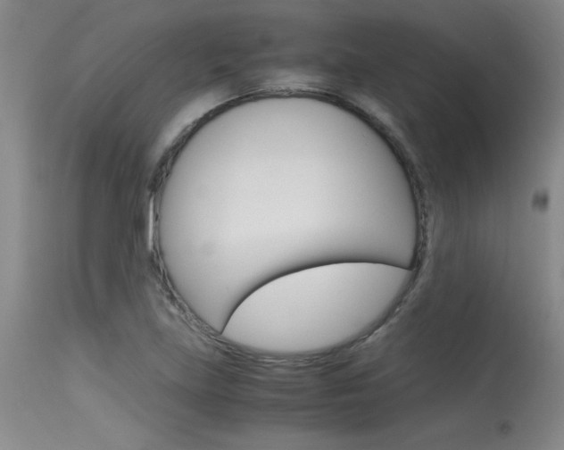 X0000115541219200911061142