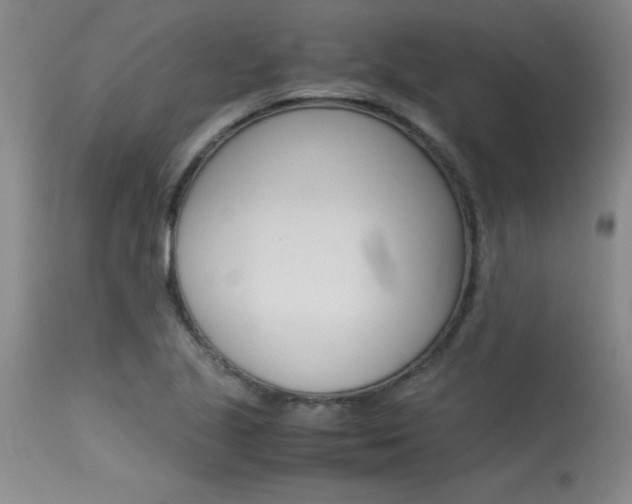 X0000115541221200911061143