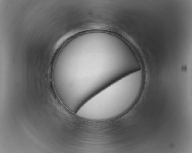 X0000115541222200911061143