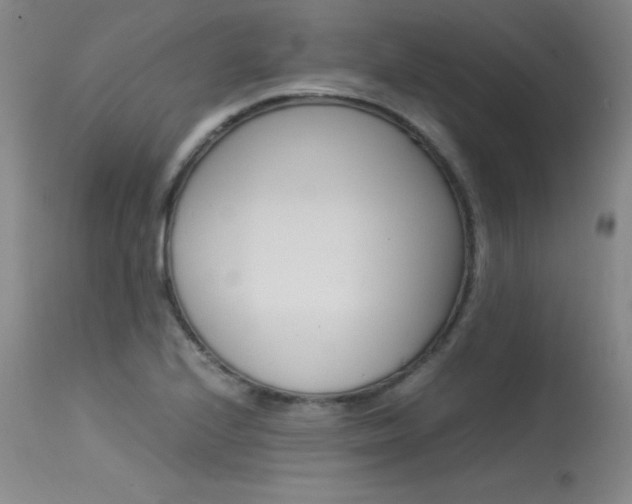 X0000115541224200911061143
