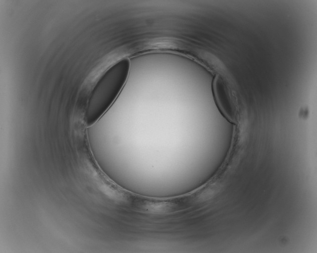X0000115541225200911061143