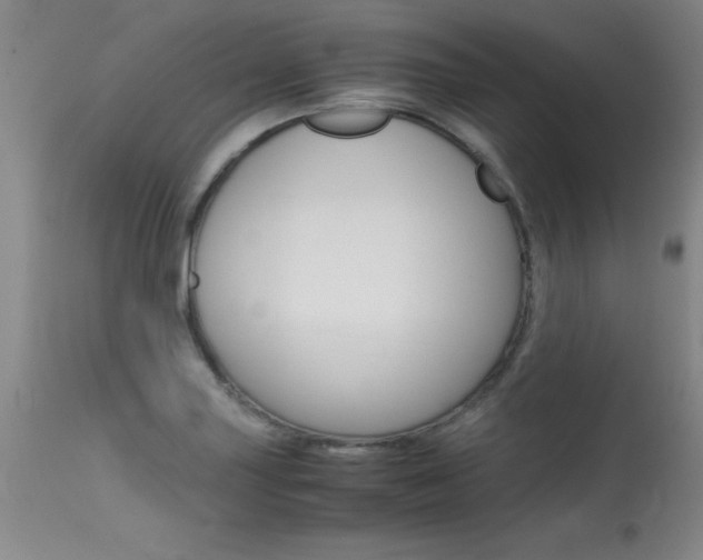 X0000115541227200911061143
