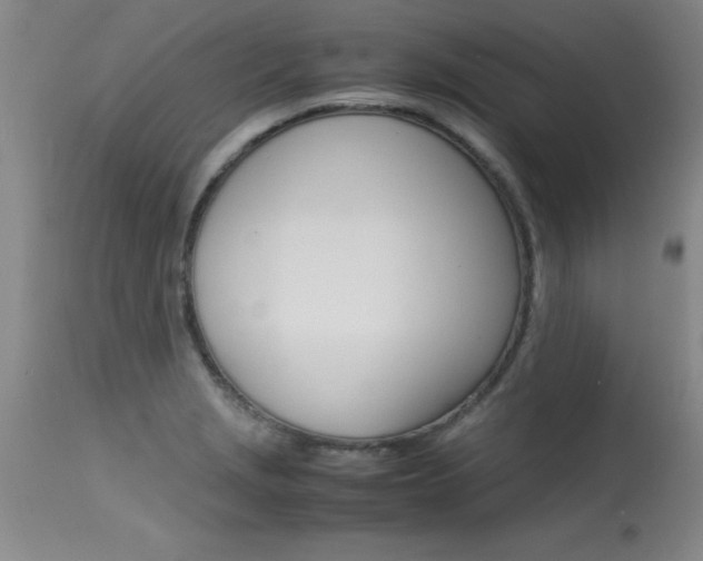 X0000115541229200911061143
