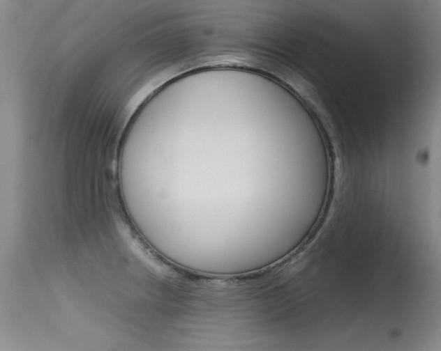 X0000115541234200911061143