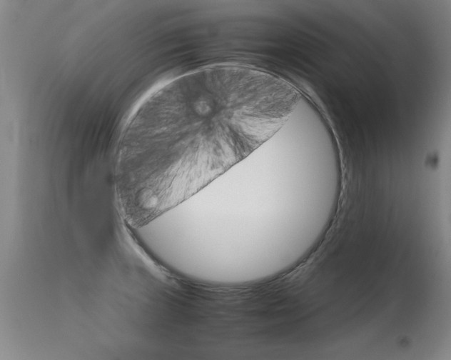 X0000115541235200911061143