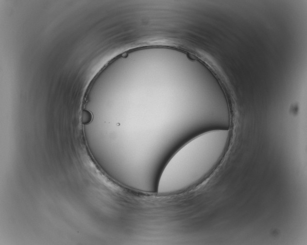 X0000115541236200911061143