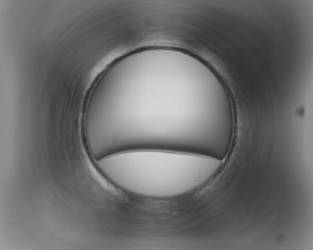X0000115541237200911061143