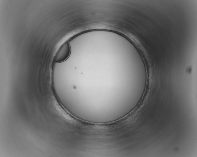 X0000115541238200911061143