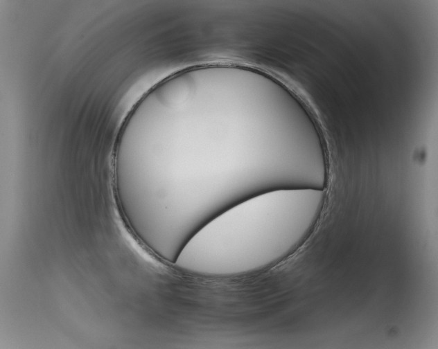 X0000115541239200911061143