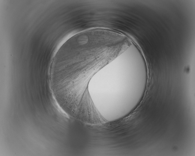 X0000115541243200911061143