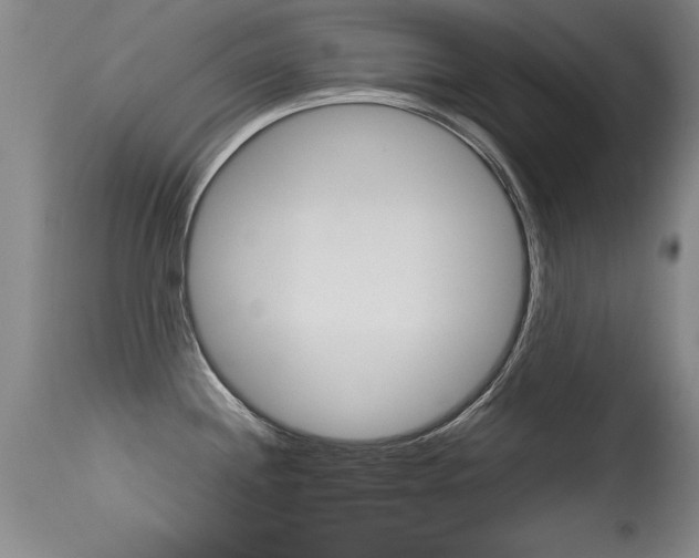 X0000115541244200911061143