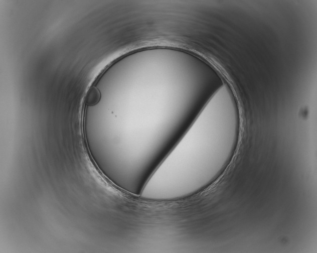 X0000115541246200911061143