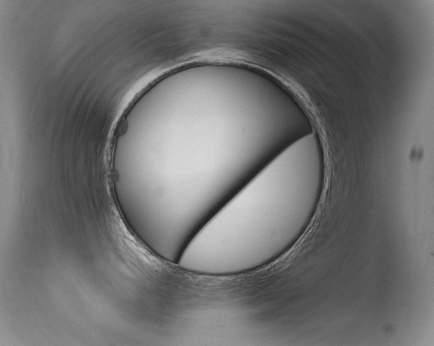 X0000115541248200911061143