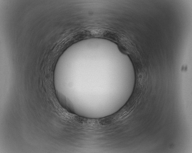 X0000115541249200911061142