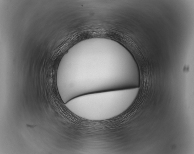 X0000115541250200911061142