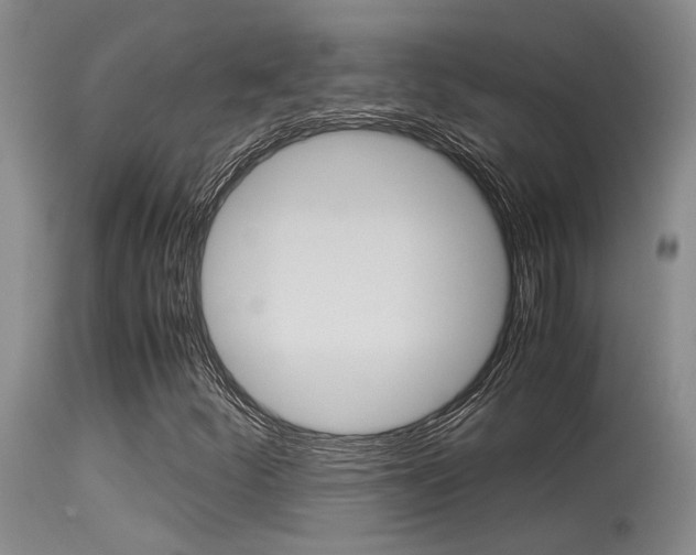 X0000115541252200911061142