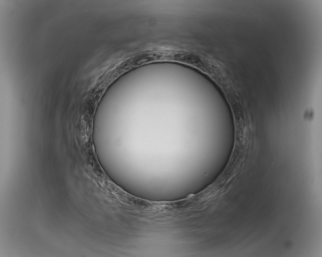 X0000115541253200911061142