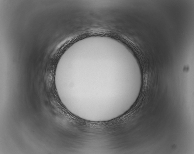 X0000115541254200911061142