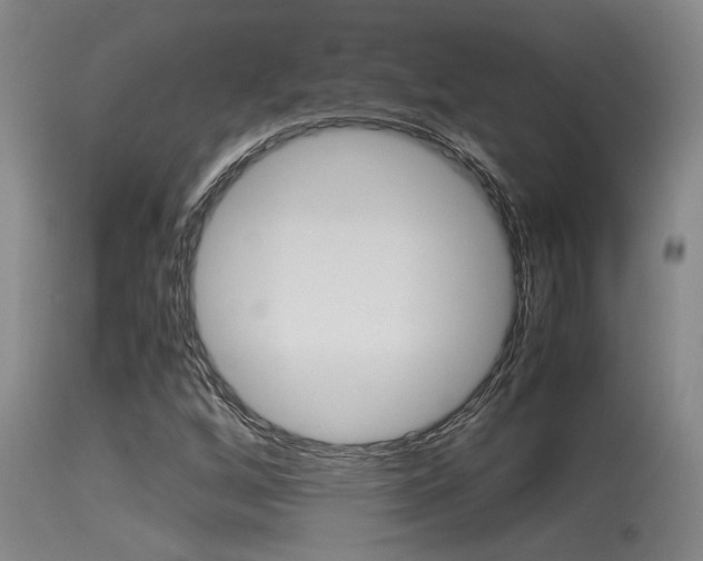 X0000115541256200911061142