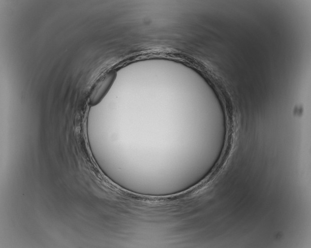 X0000115541257200911061142