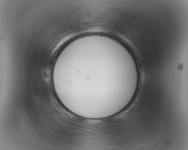 X0000115541258200911061142