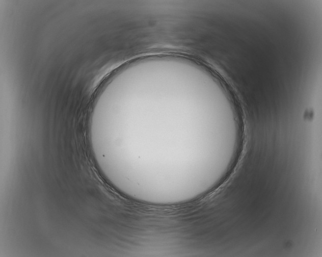 X0000115541259200911061142