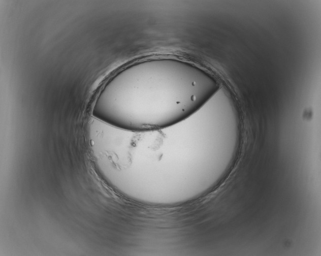 X0000115541260200911061142