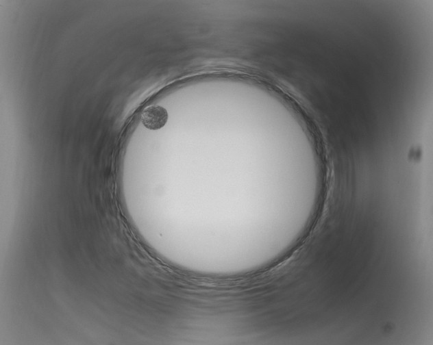 X0000115541261200911061142