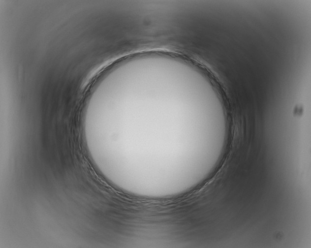 X0000115541262200911061142