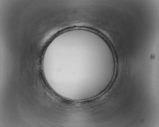 X0000115541263200911061142