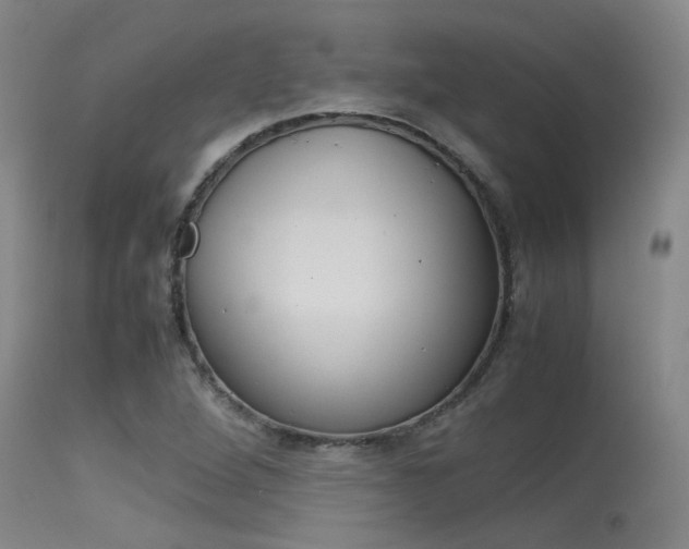 X0000115541264200911061142