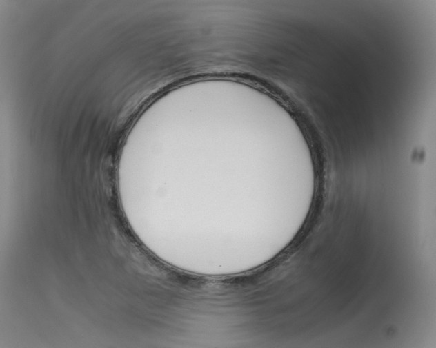 X0000115541265200911061142