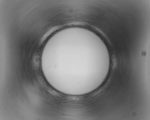 X0000115541266200911061142