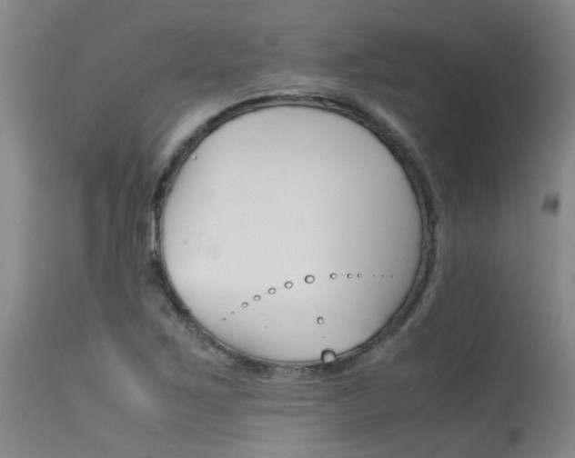 X0000115541267200911061142